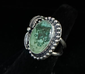 Sonoran Mountain Turquoise Sterling Silver Ring