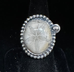 Petrified Sand Dollar Sterling Silver Ring