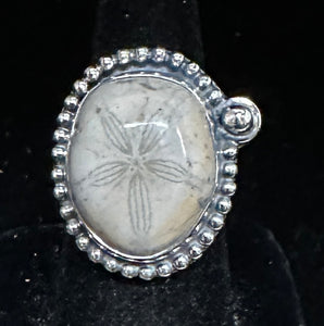 Petrified Sand Dollar Sterling Silver Ring