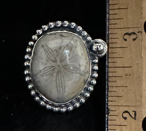 Petrified Sand Dollar Sterling Silver Ring