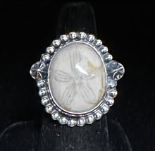 Load image into Gallery viewer, Petrified Sand Dollar Sterling Silver Ring
