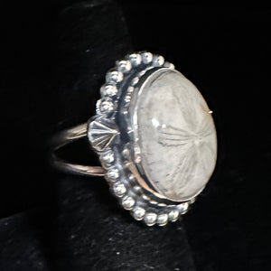 Petrified Sand Dollar Sterling Silver Ring