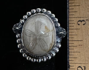 Petrified Sand Dollar Sterling Silver Ring
