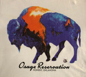 Multi Color Buffalo short sleeve T-Shirt